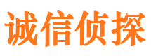 龙山侦探调查公司